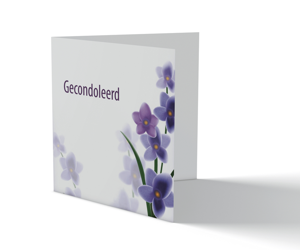 Condoleancekaart - Viooltjes - Afbeelding 1