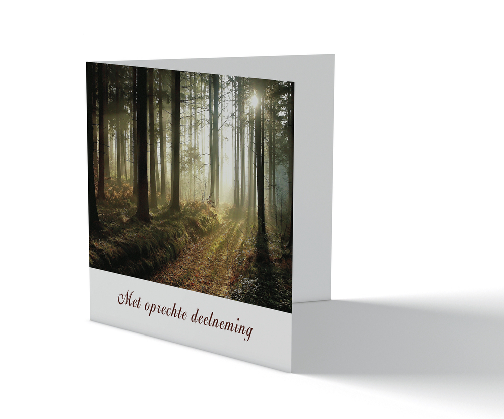 Condoleancekaart - Zonnestralen door het bos - Afbeelding 1