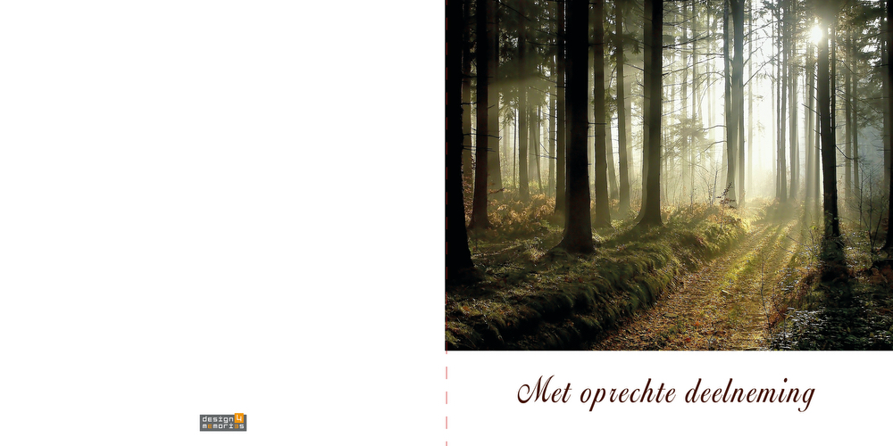 Condoleancekaart - Zonnestralen door het bos - Afbeelding 2