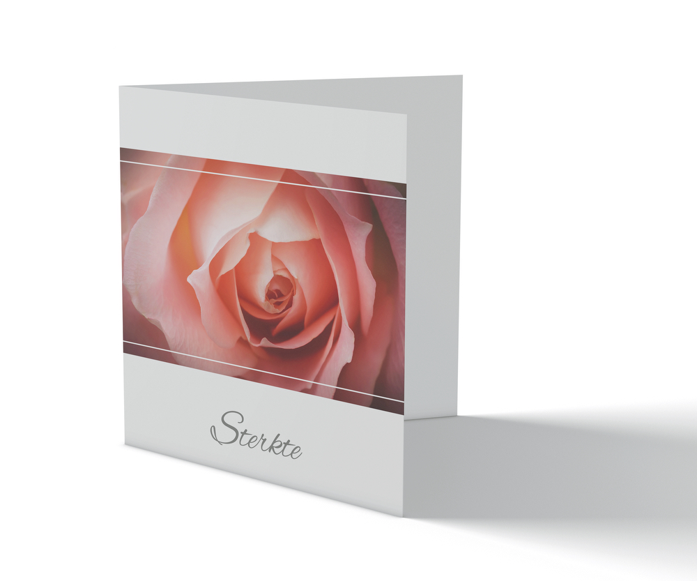 Condoleancekaart - Roze roos - Afbeelding 1