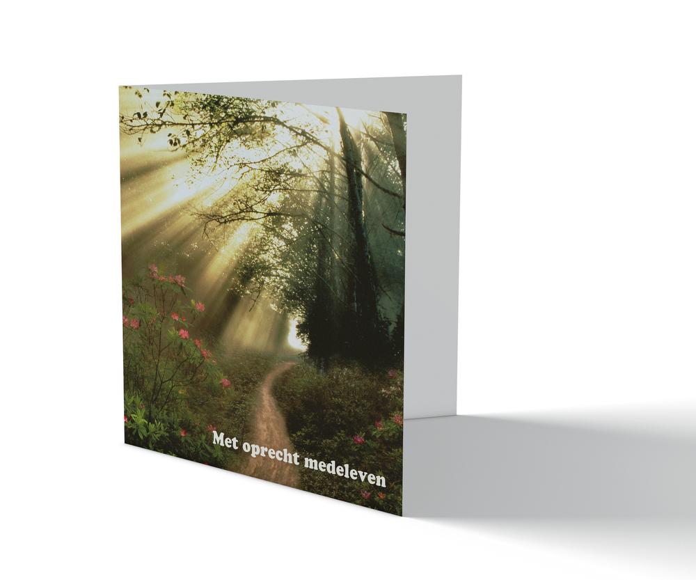 Condoleancekaart - Slingerpad door het bos - Afbeelding 1