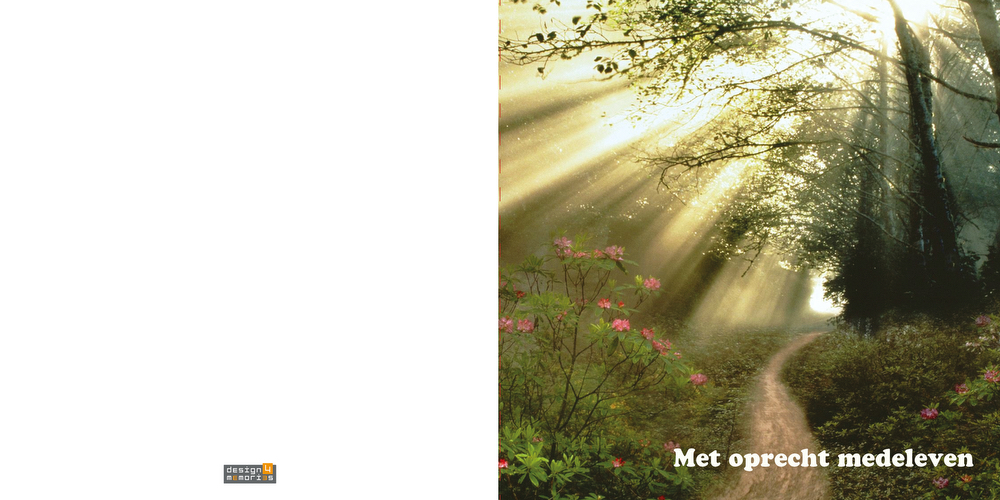 Condoleancekaart - Slingerpad door het bos - Afbeelding 2