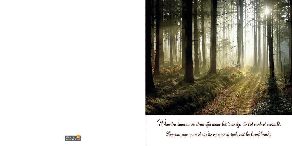 Condoleancekaart - Zonnestralen in het bos - Afbeelding 2